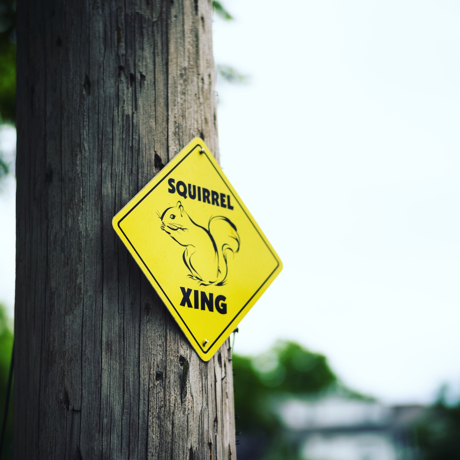 Whimsical Warning