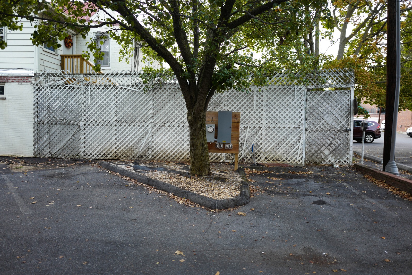 Urban Oasis