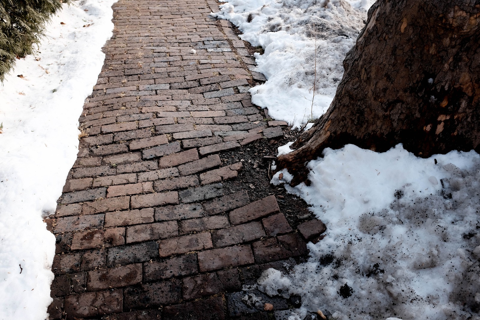 Weathered Pathway