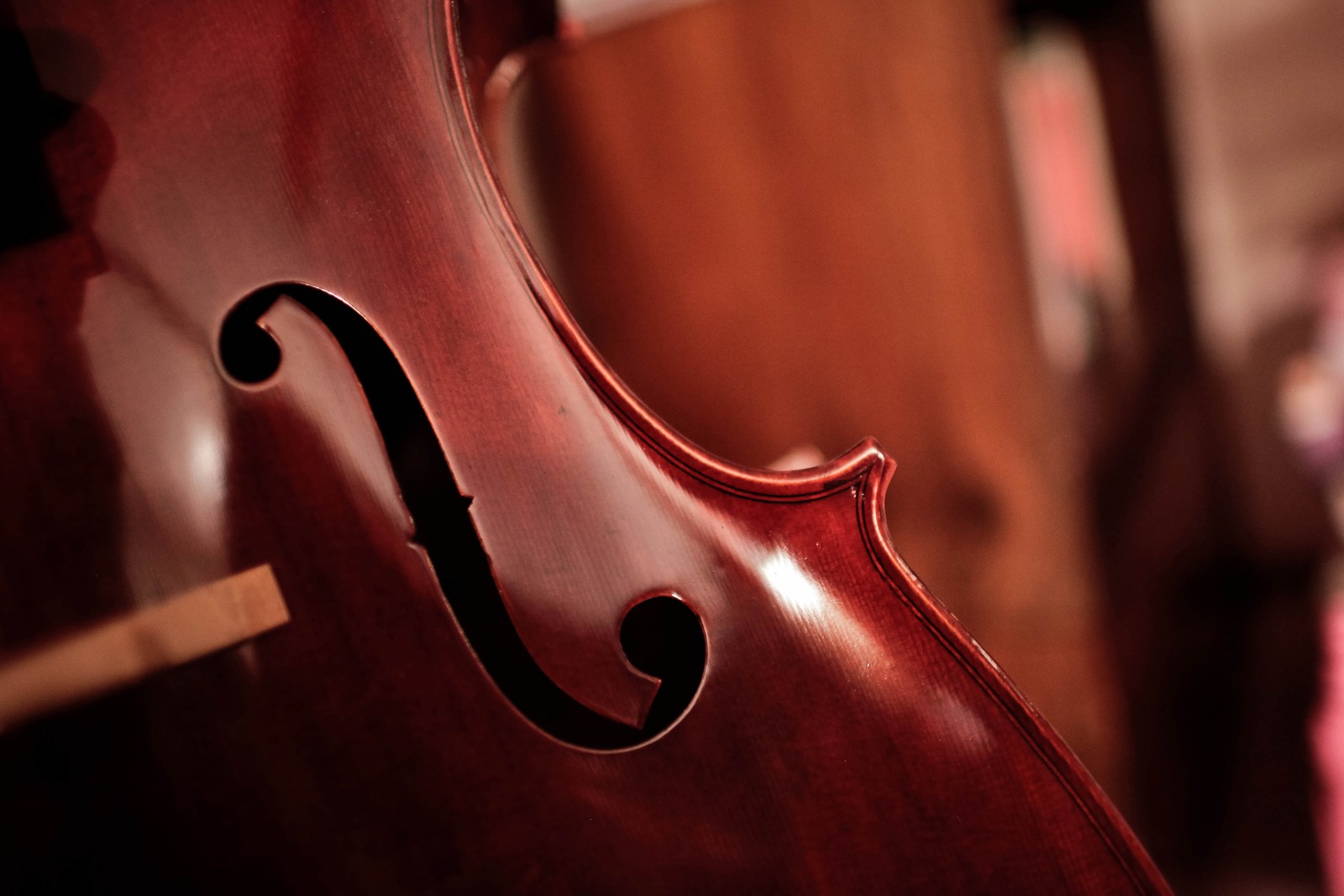 Curves of Melody