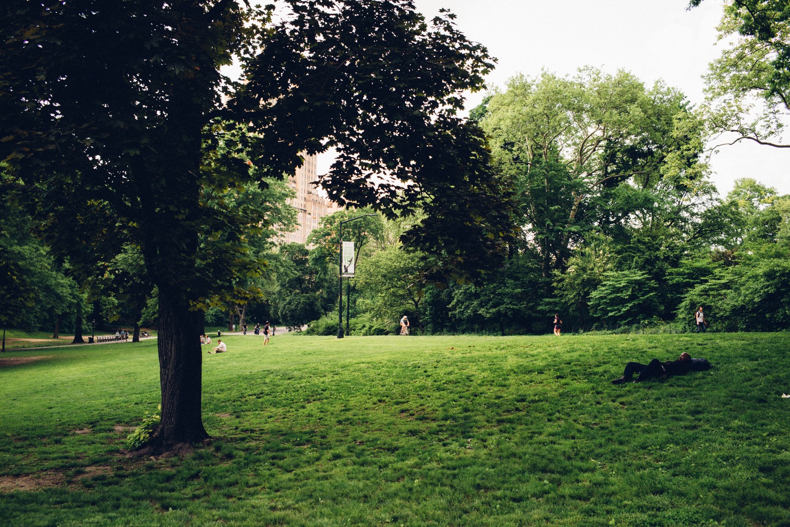 Serene Park Retreat
