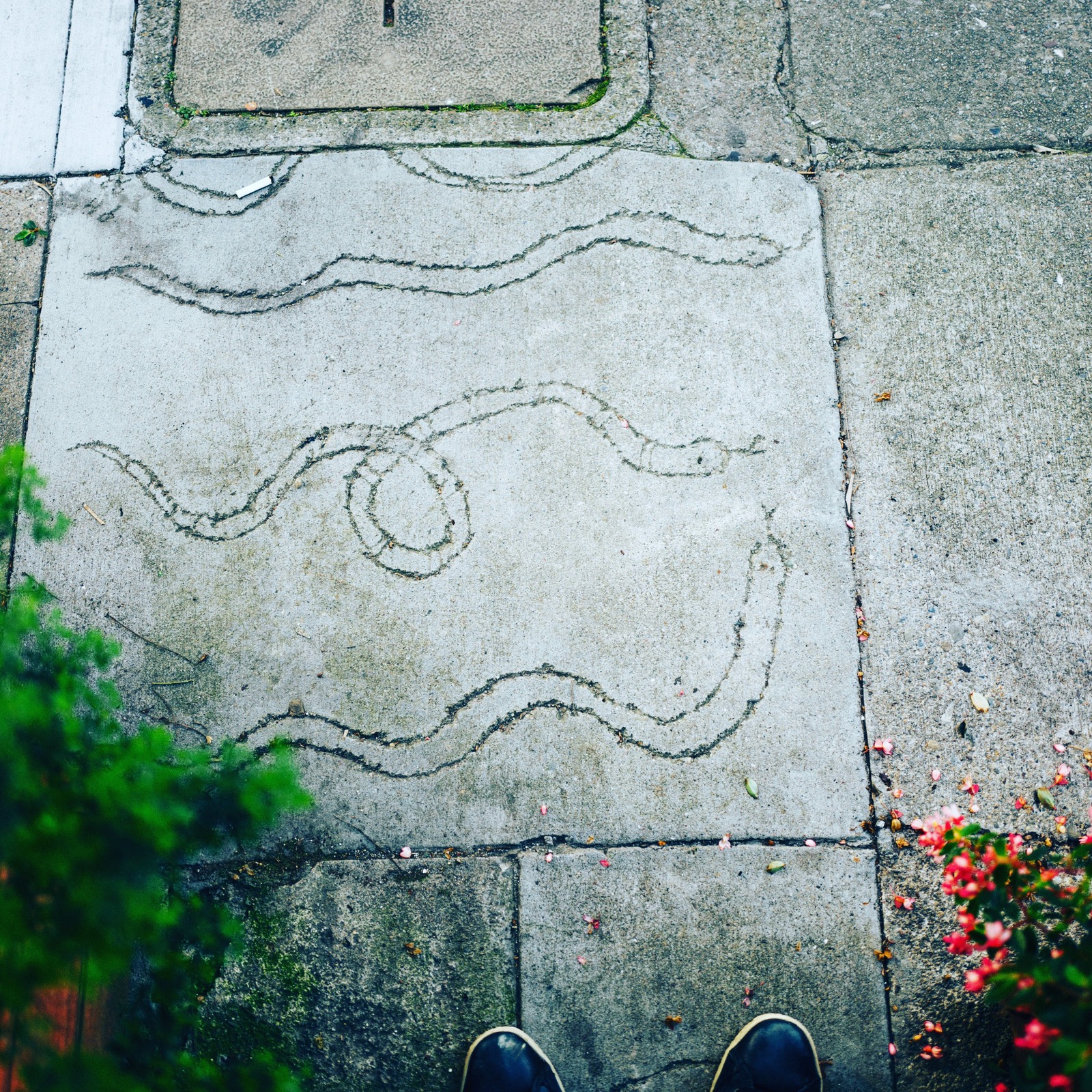 Lines of Curiosity
