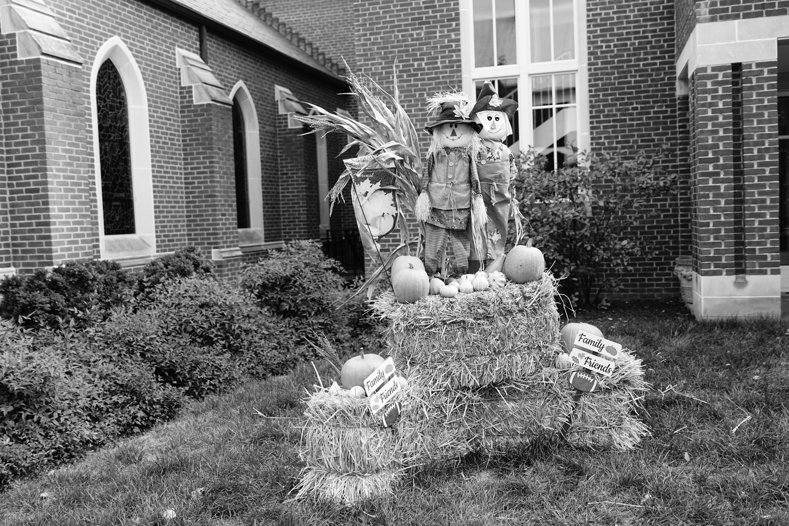 Harvest Companions