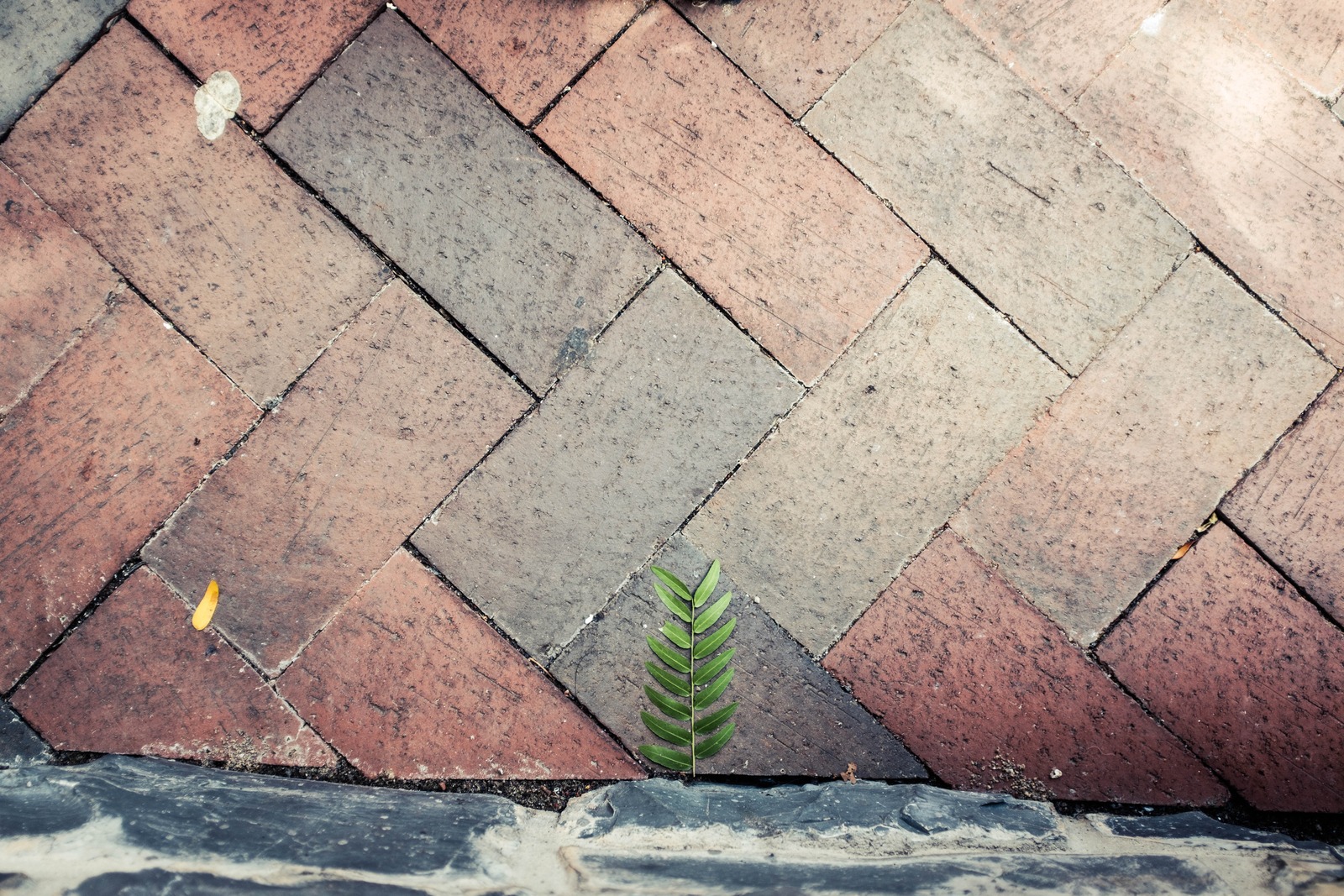 Nature's Resilience
