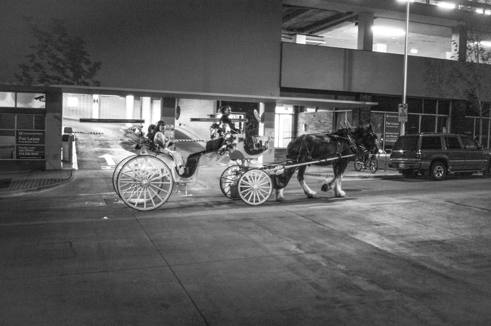 A Night in Motion