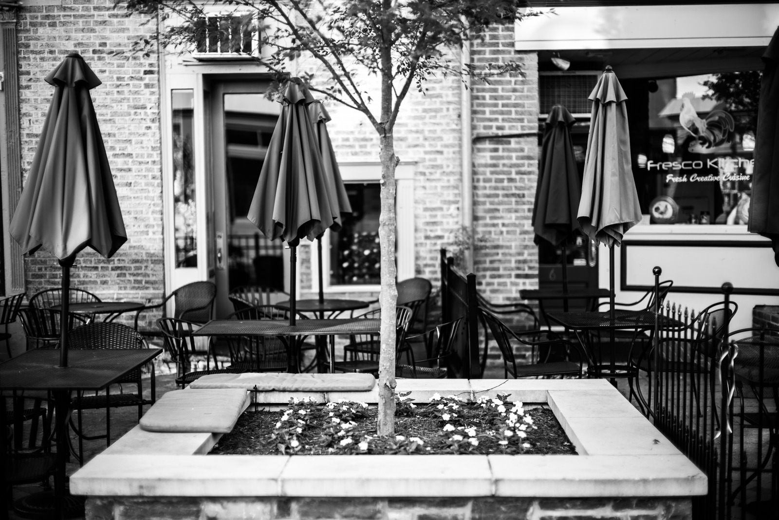 Quiet Café Oasis