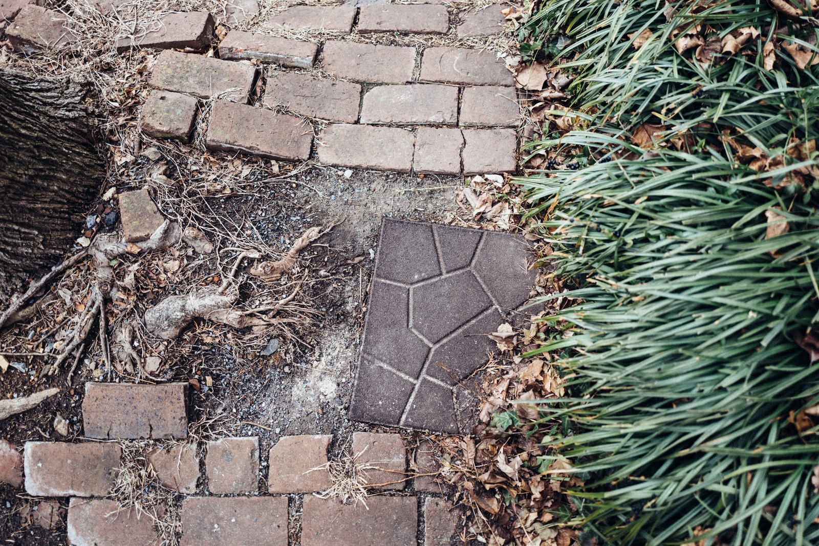 Nature's Resilience