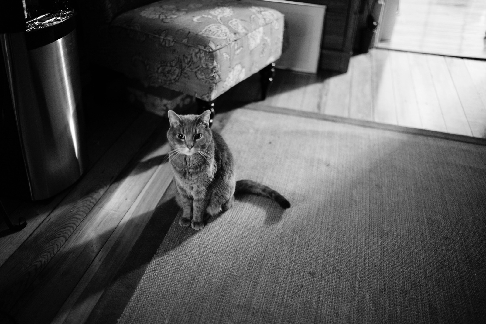 Silent Watcher