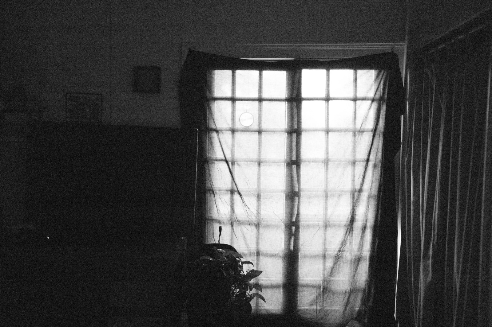 Veiled Light