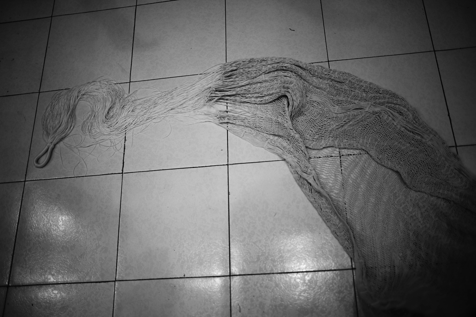The Whispering Net