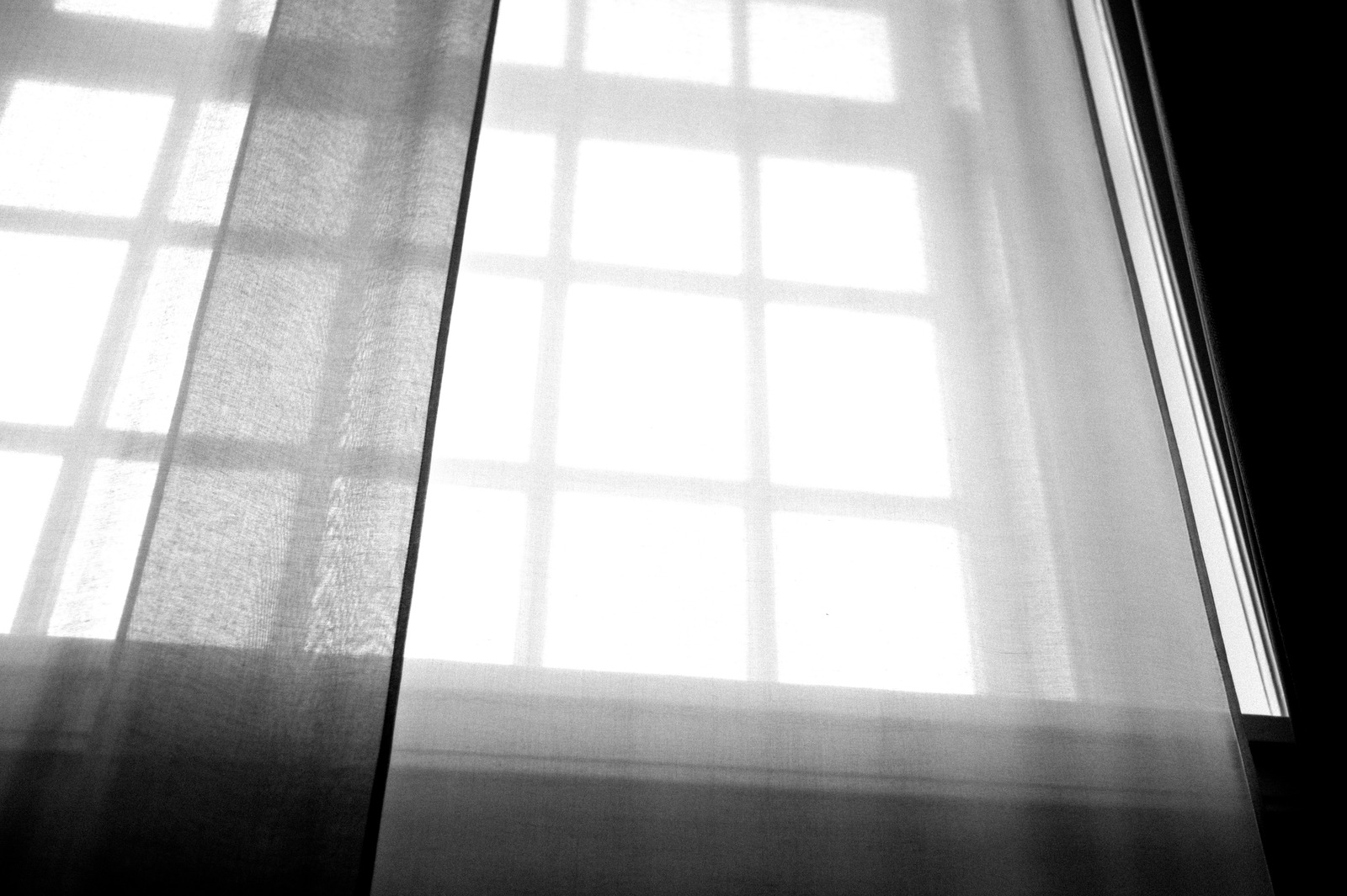 Veiled Light