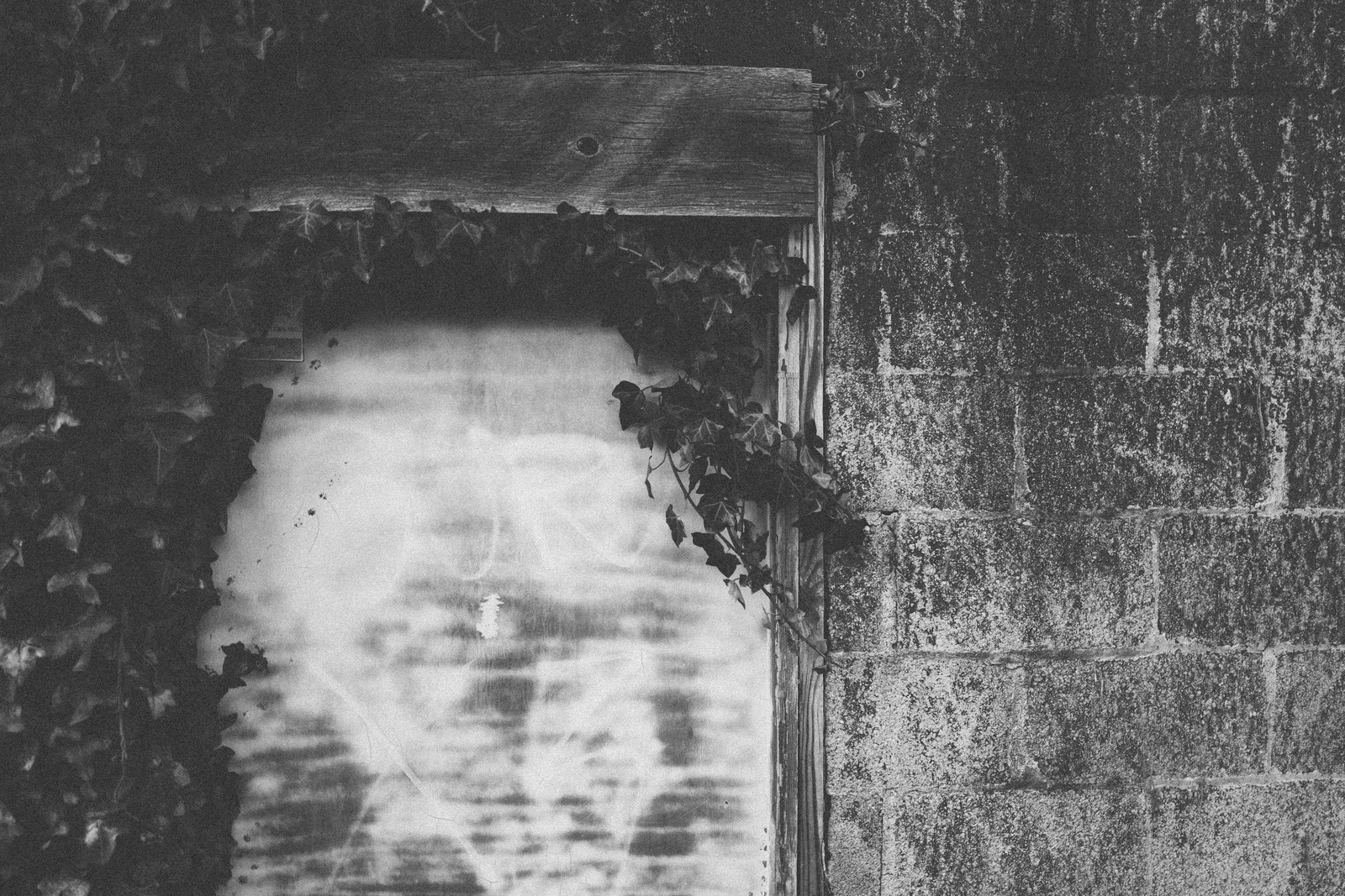 Fleeting Memories