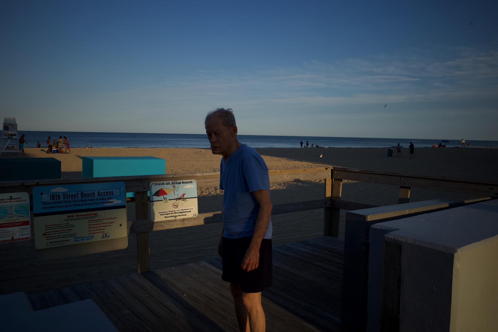Evening Stroll by the Shore