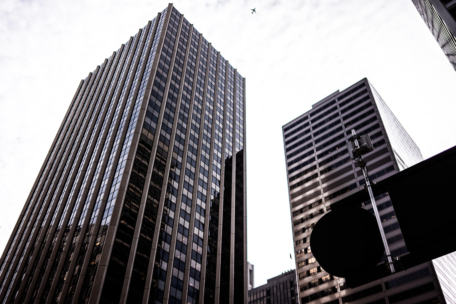 Urban Giants