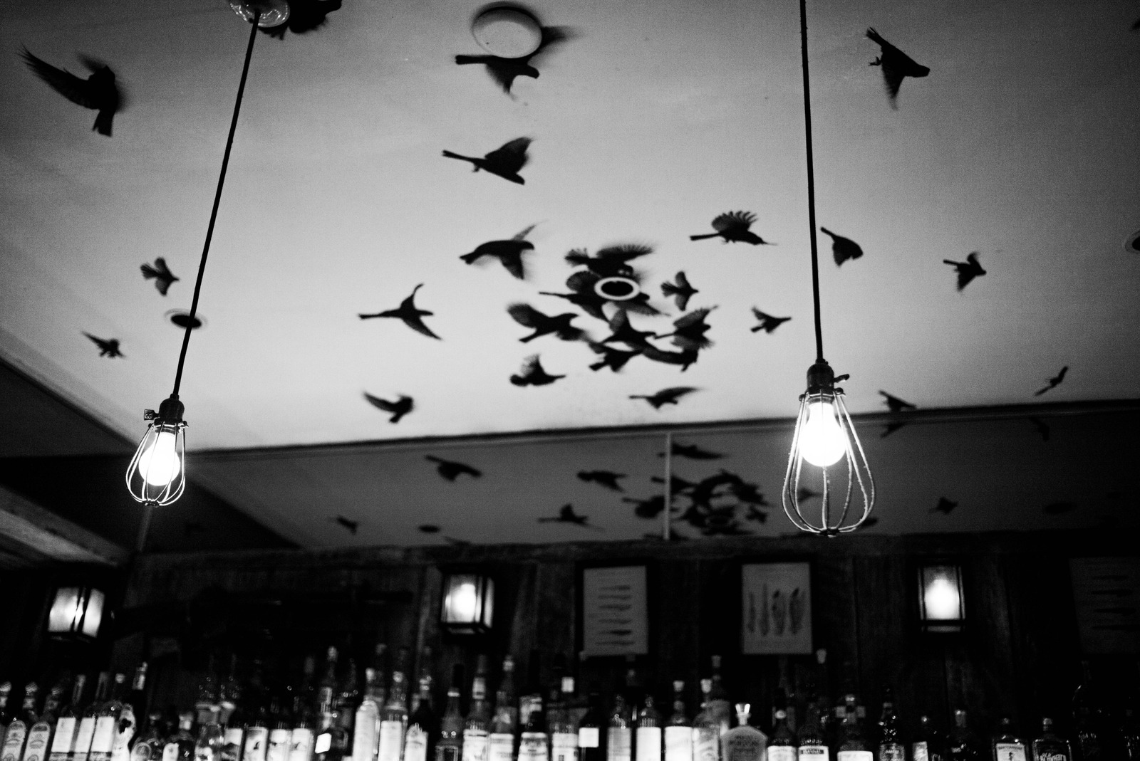 Whispers of Flight