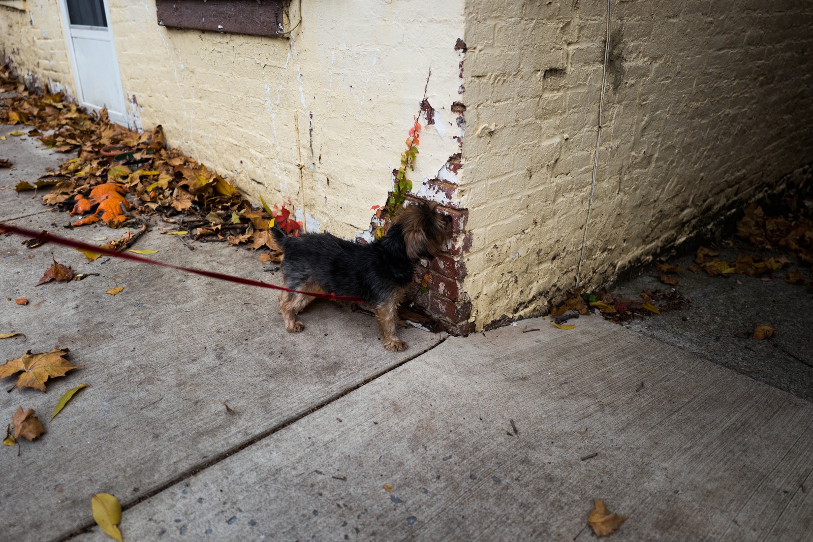 Urban Exploration
