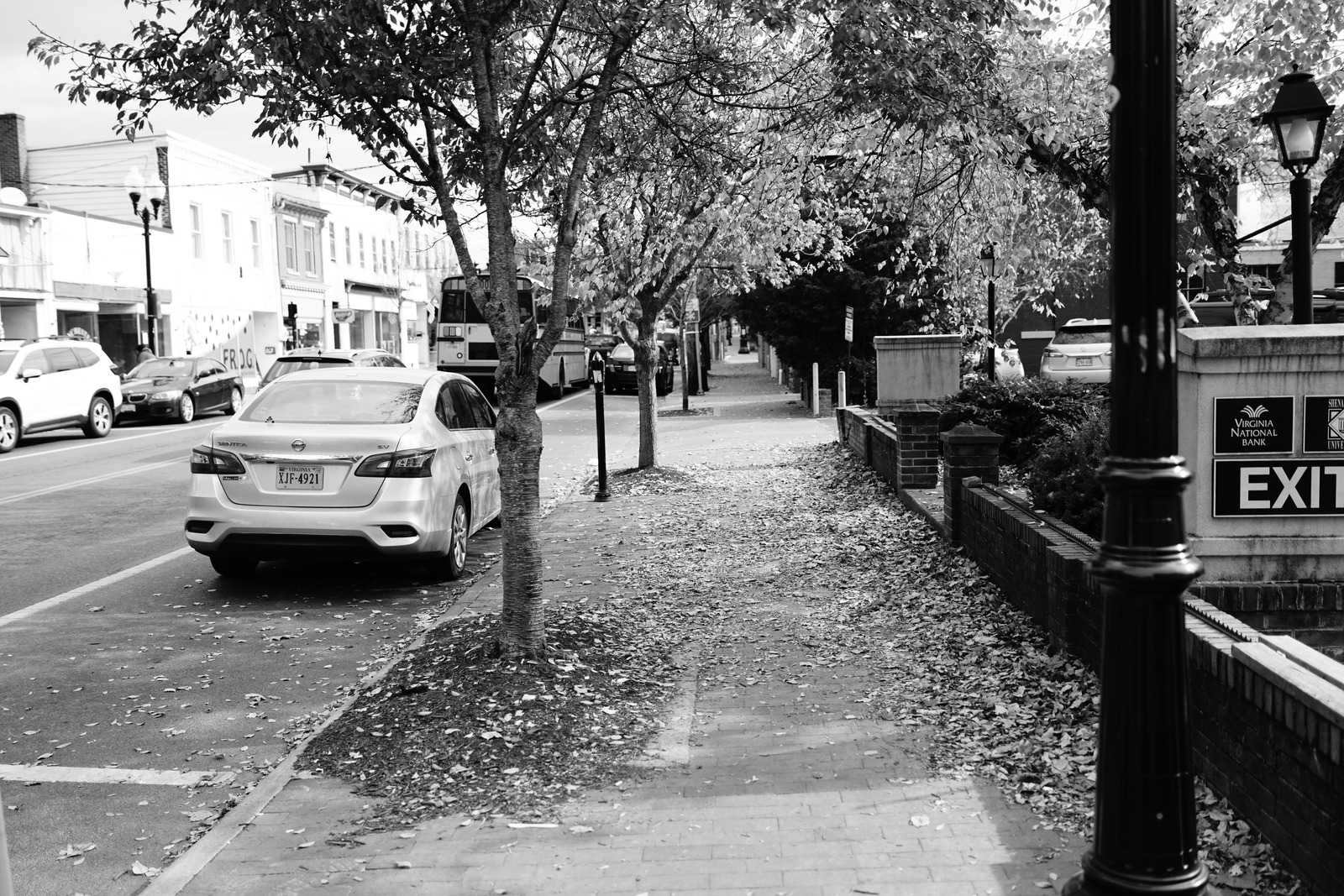 Quiet Urban Walkway