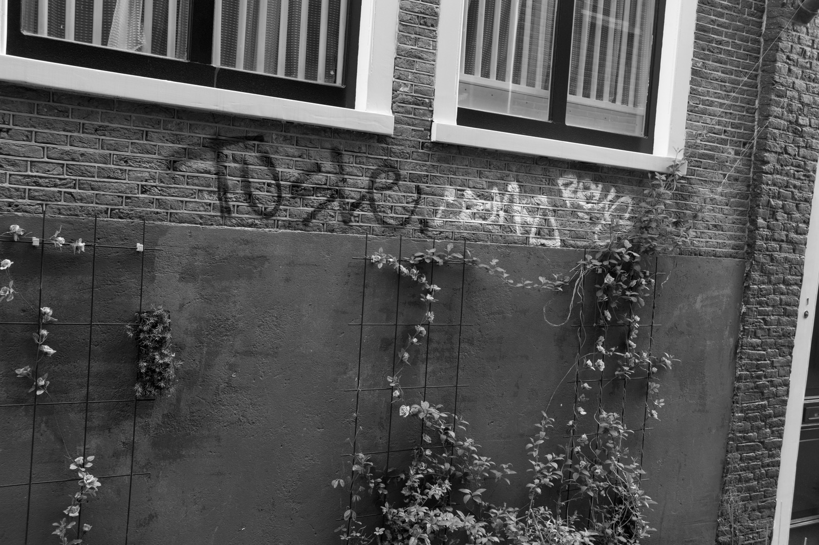 Urban Contrast