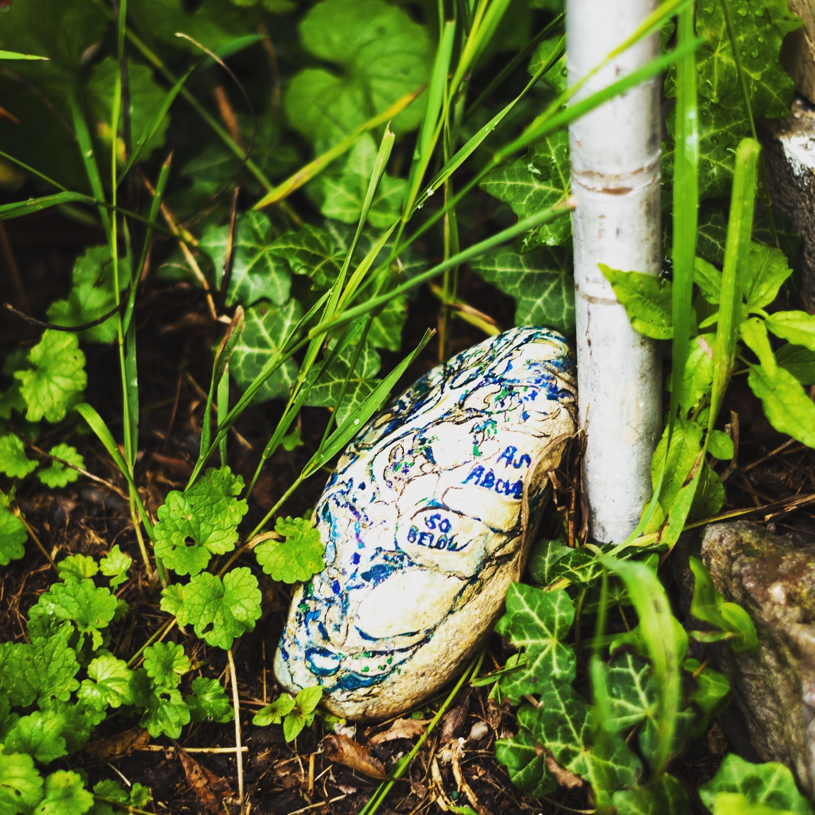 Hidden Messages in Nature