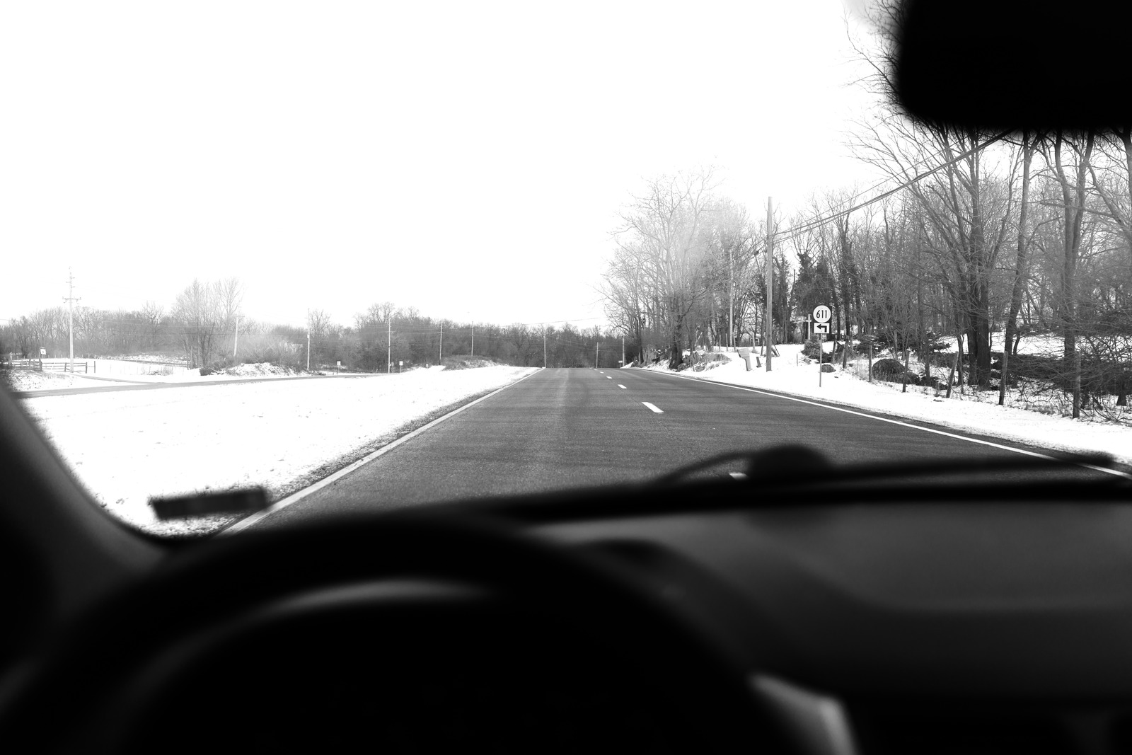 Winter's Journey