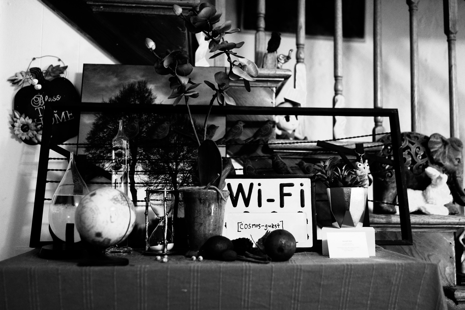 Curiosities of Home