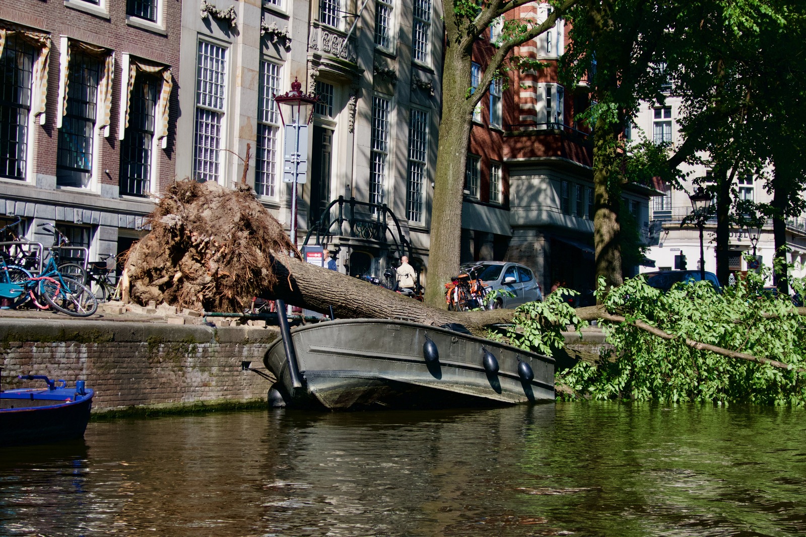 Nature's Disruption
