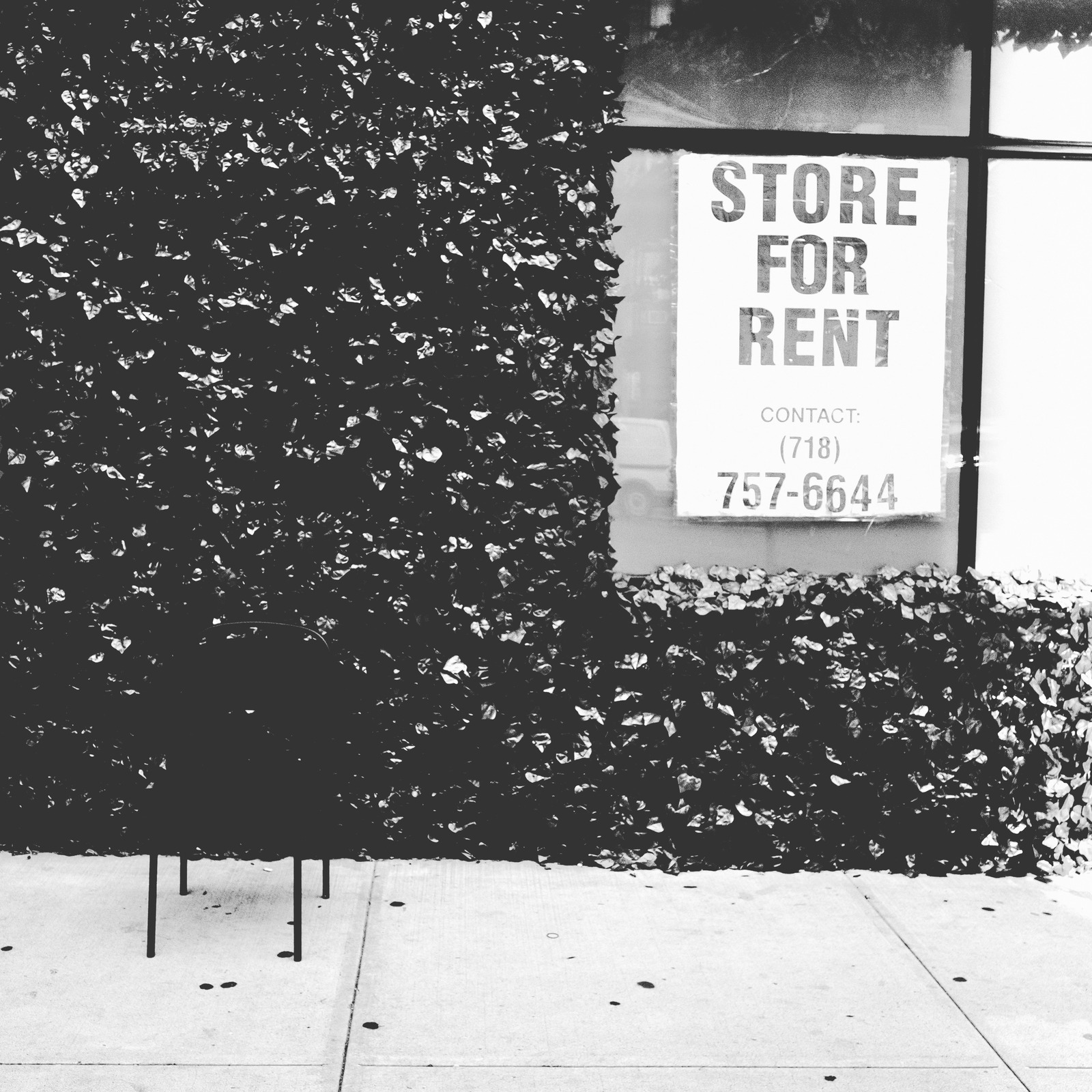 Urban Vacancy