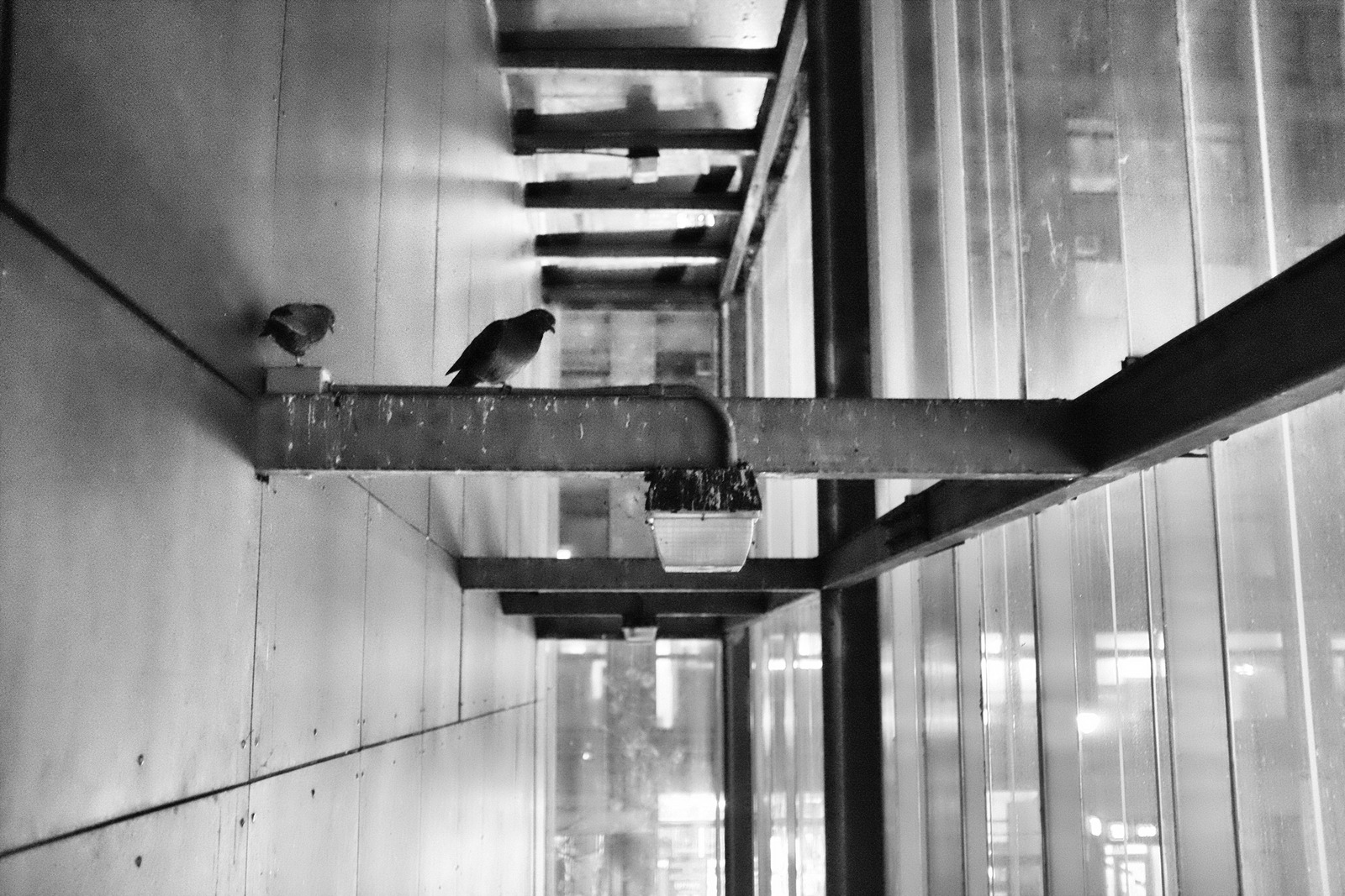 Urban Solitude