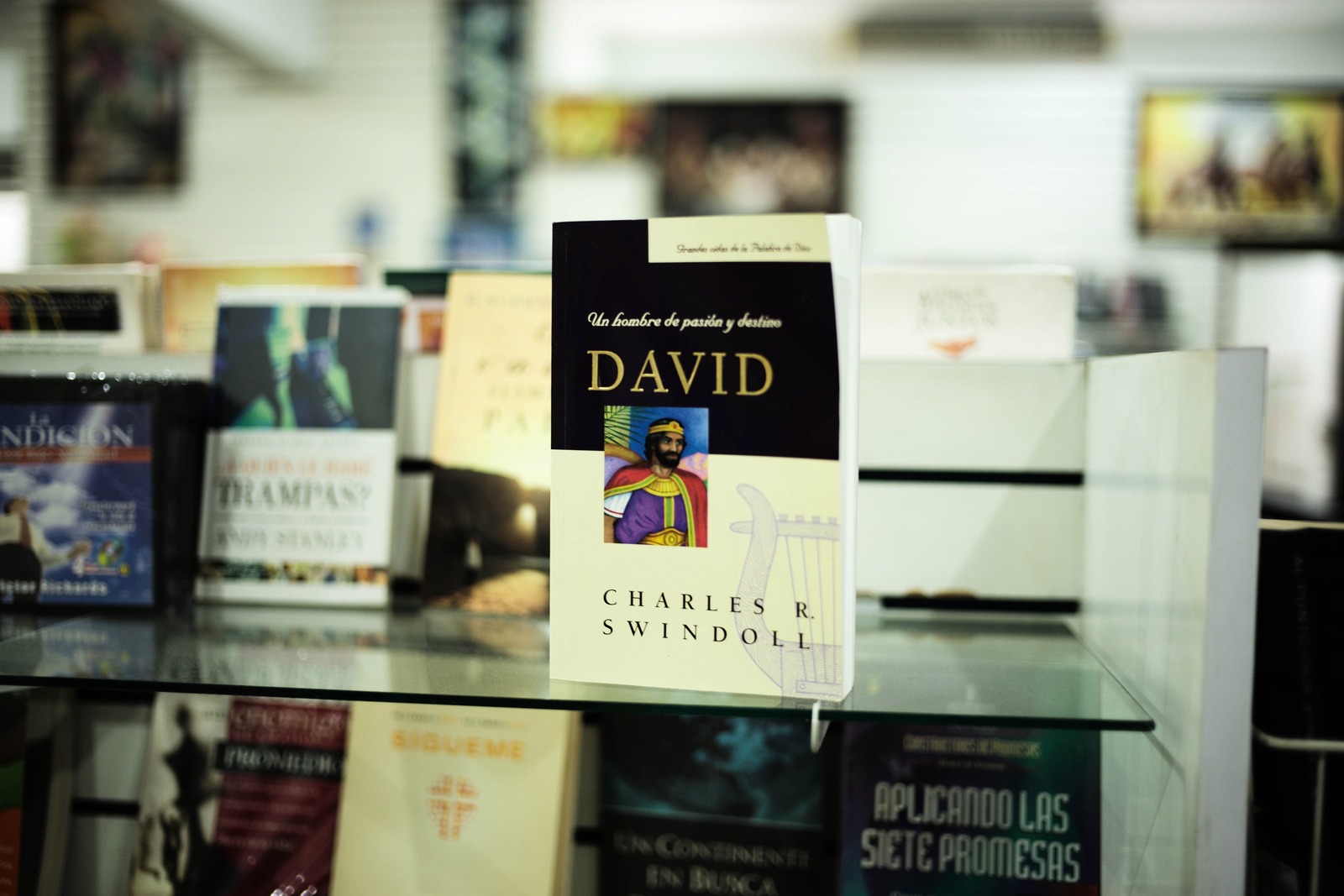 Spotlight on Wisdom