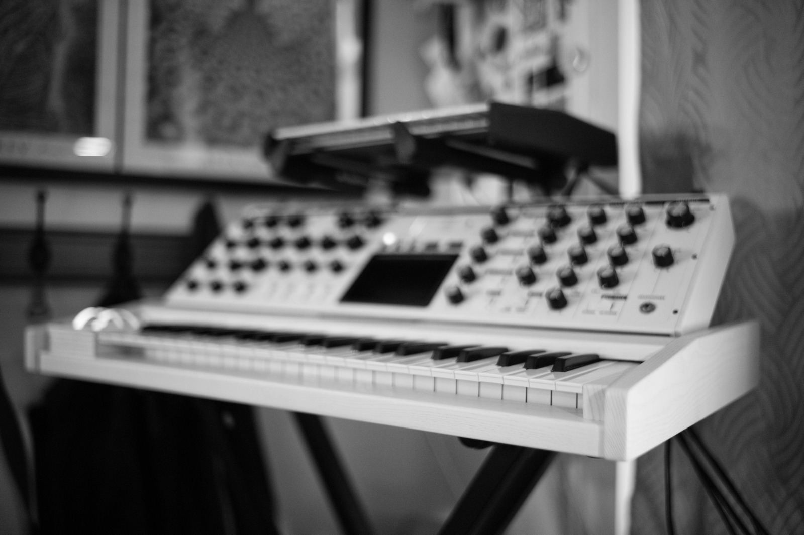 Monochrome Melodies