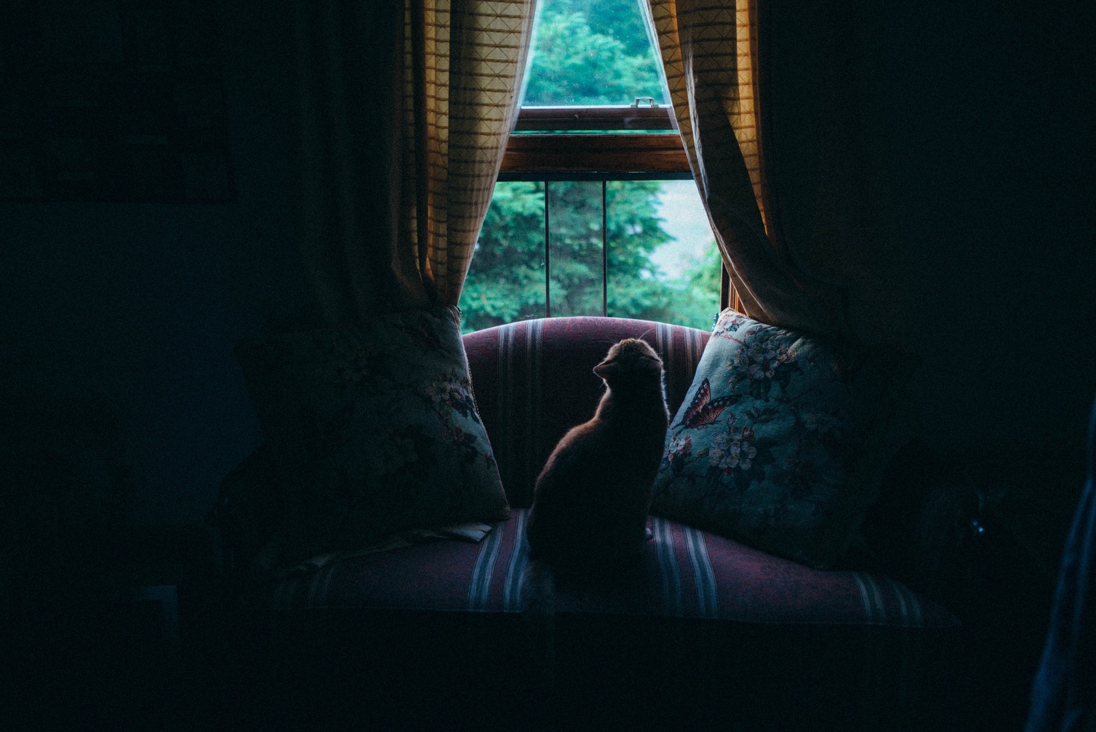 Quiet Contemplation