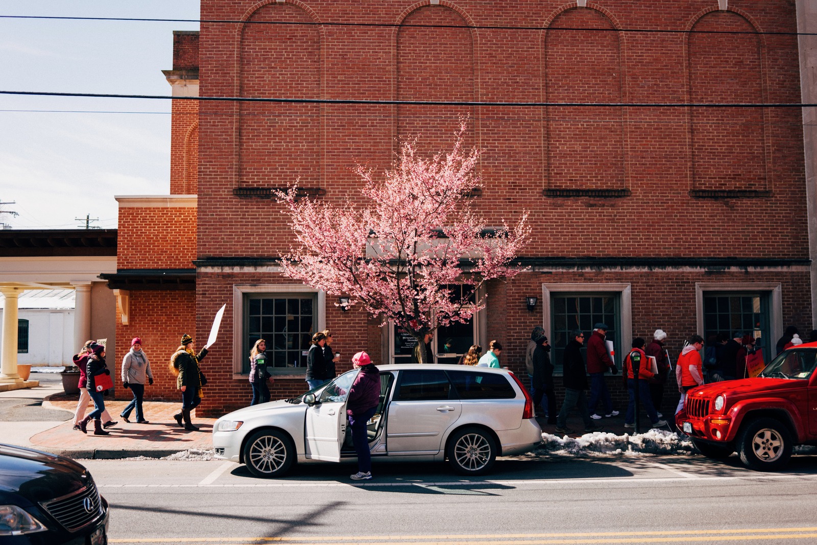 Spring Awakening