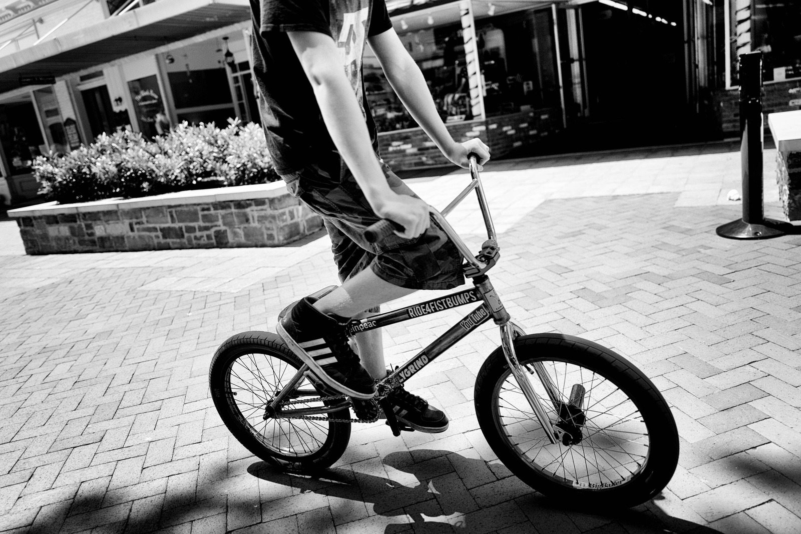 Youth in Motion
