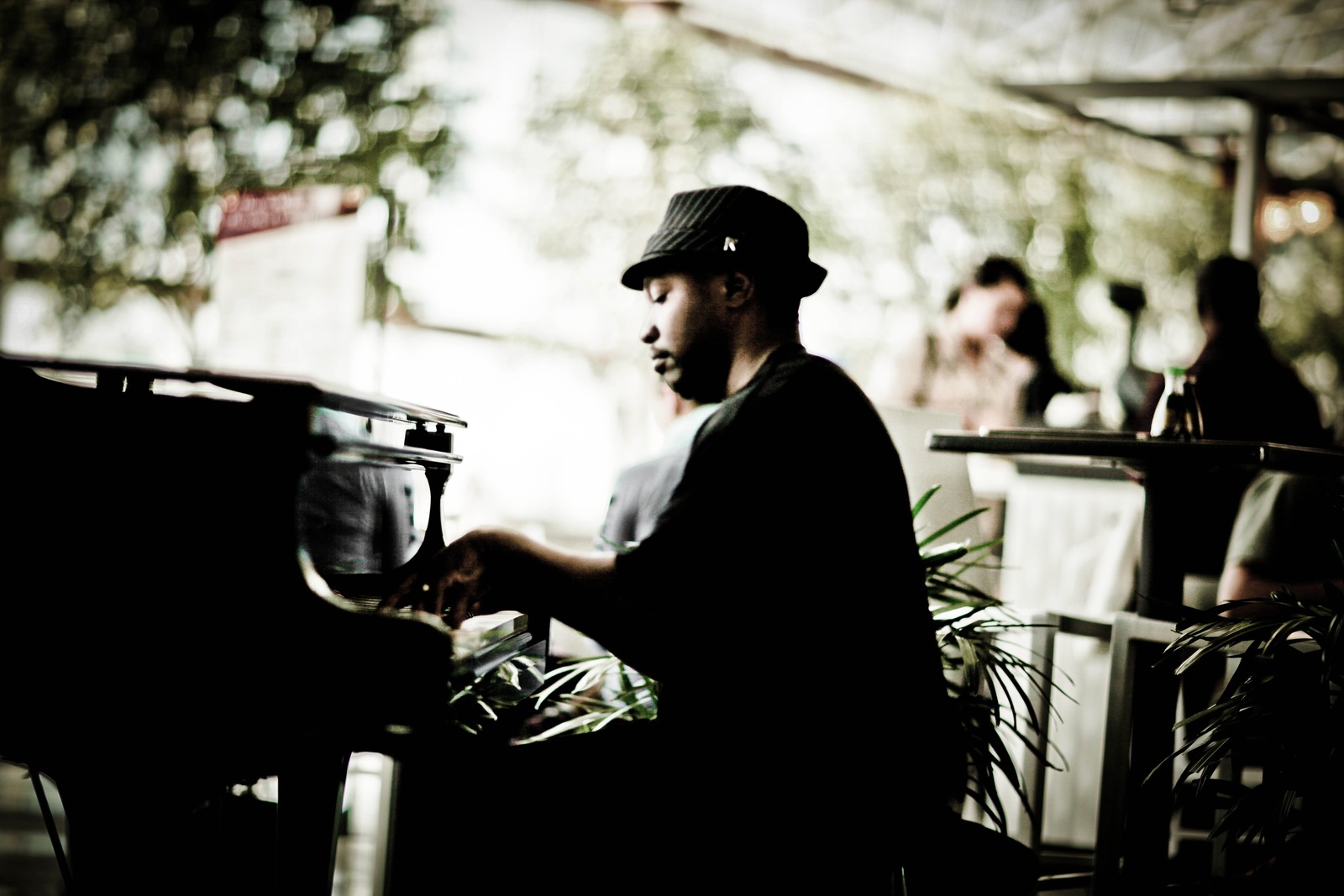 Melody in Motion