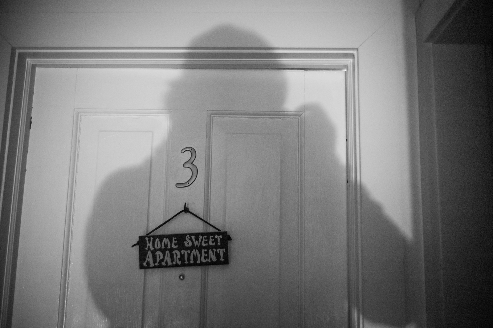 The Shadow of Home