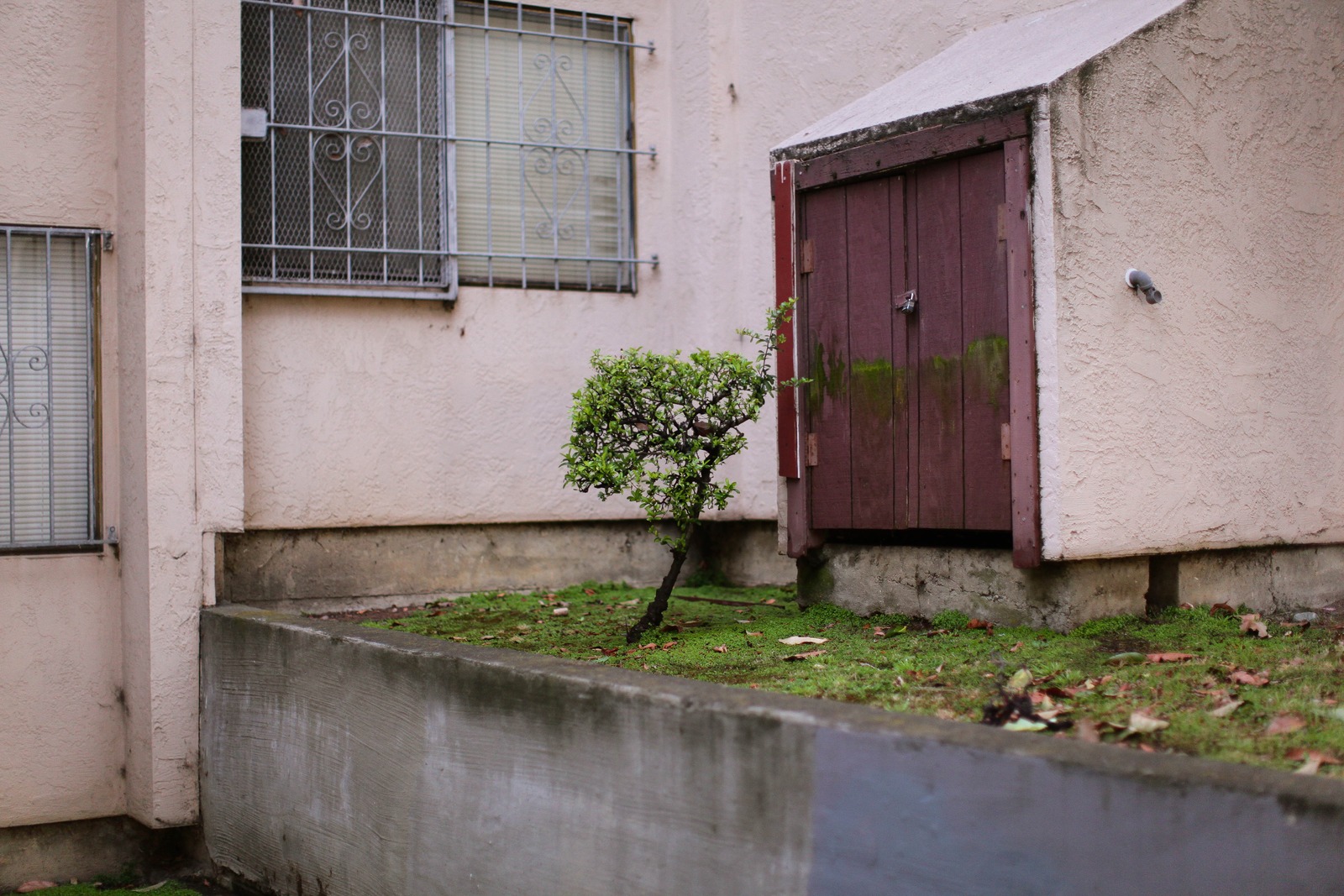 Urban Resilience