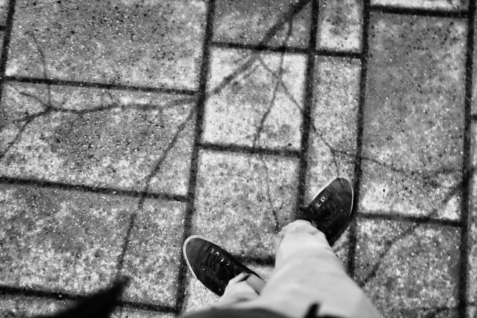 Steps in Shadows