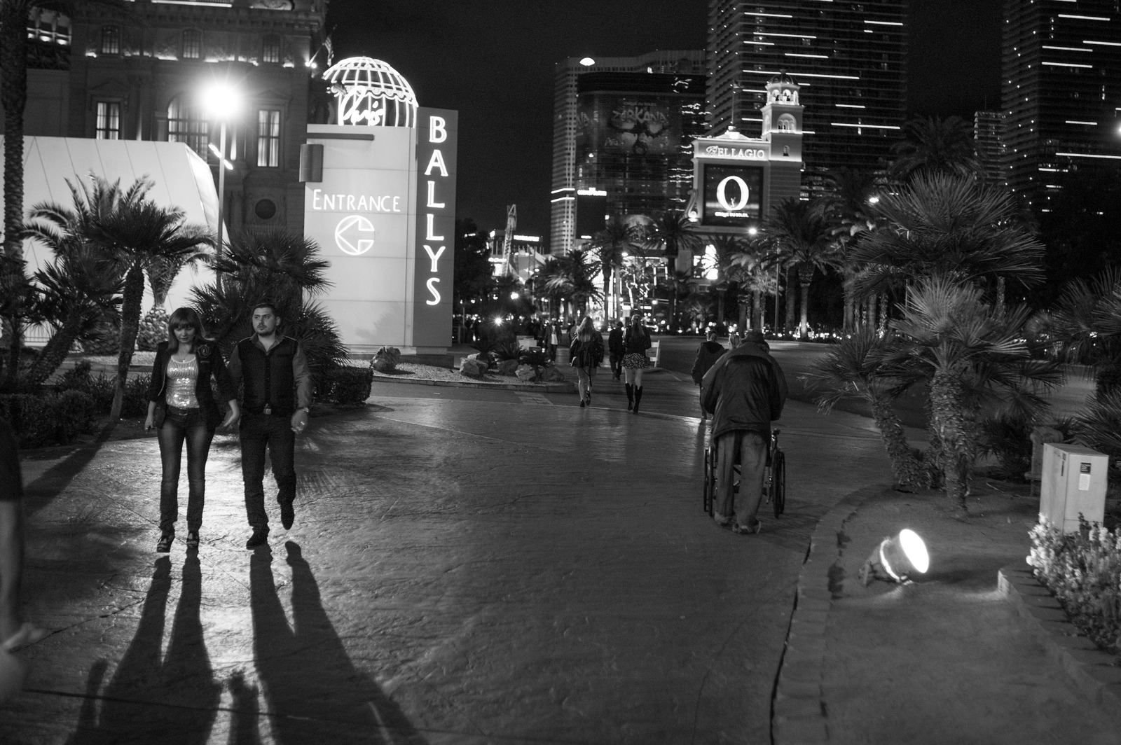 Nocturnal Stroll
