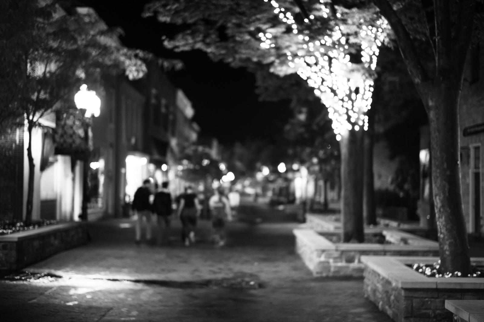 Nighttime Stroll