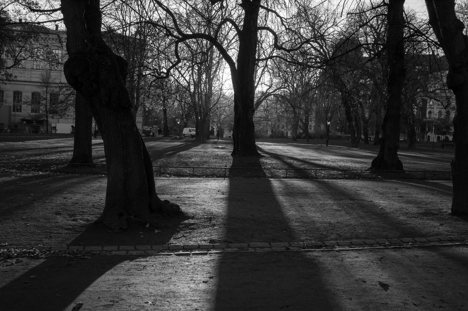 Shadows of Solitude
