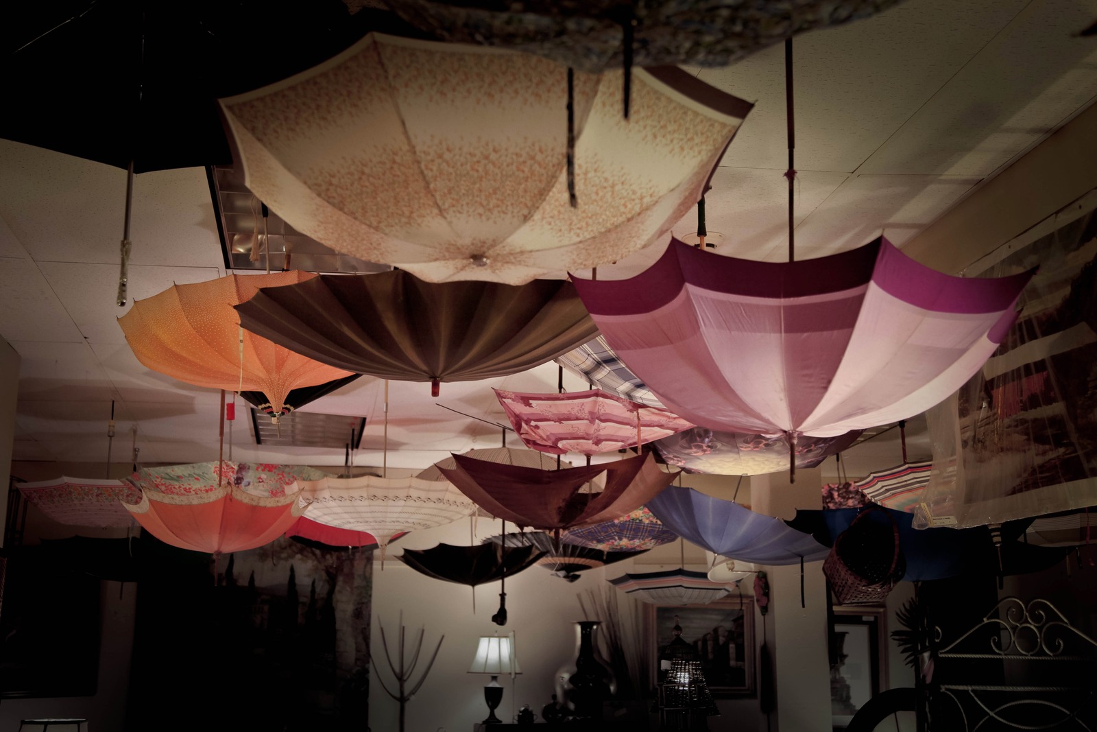 Suspended Whimsy
