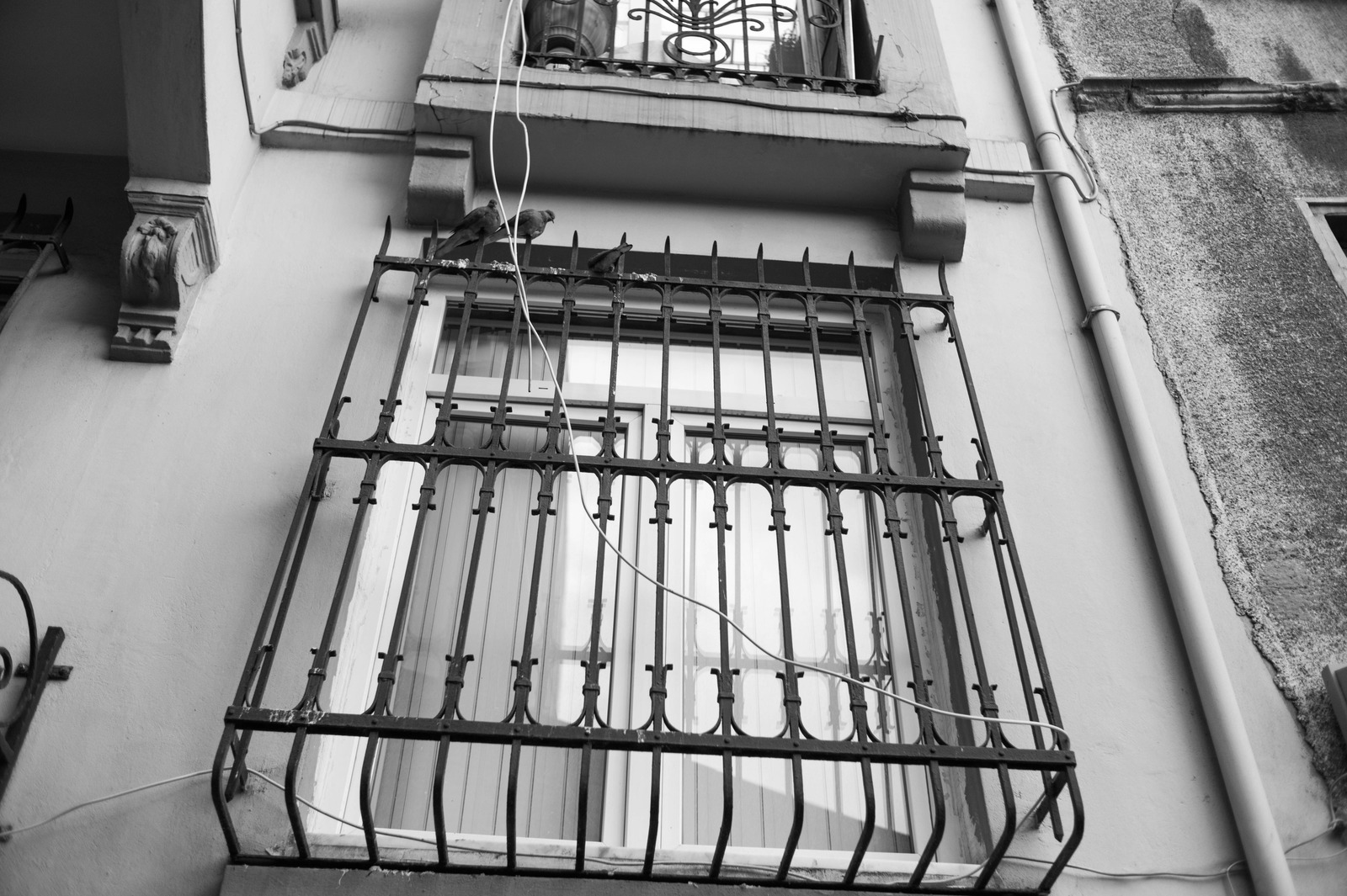 Caged Perspective