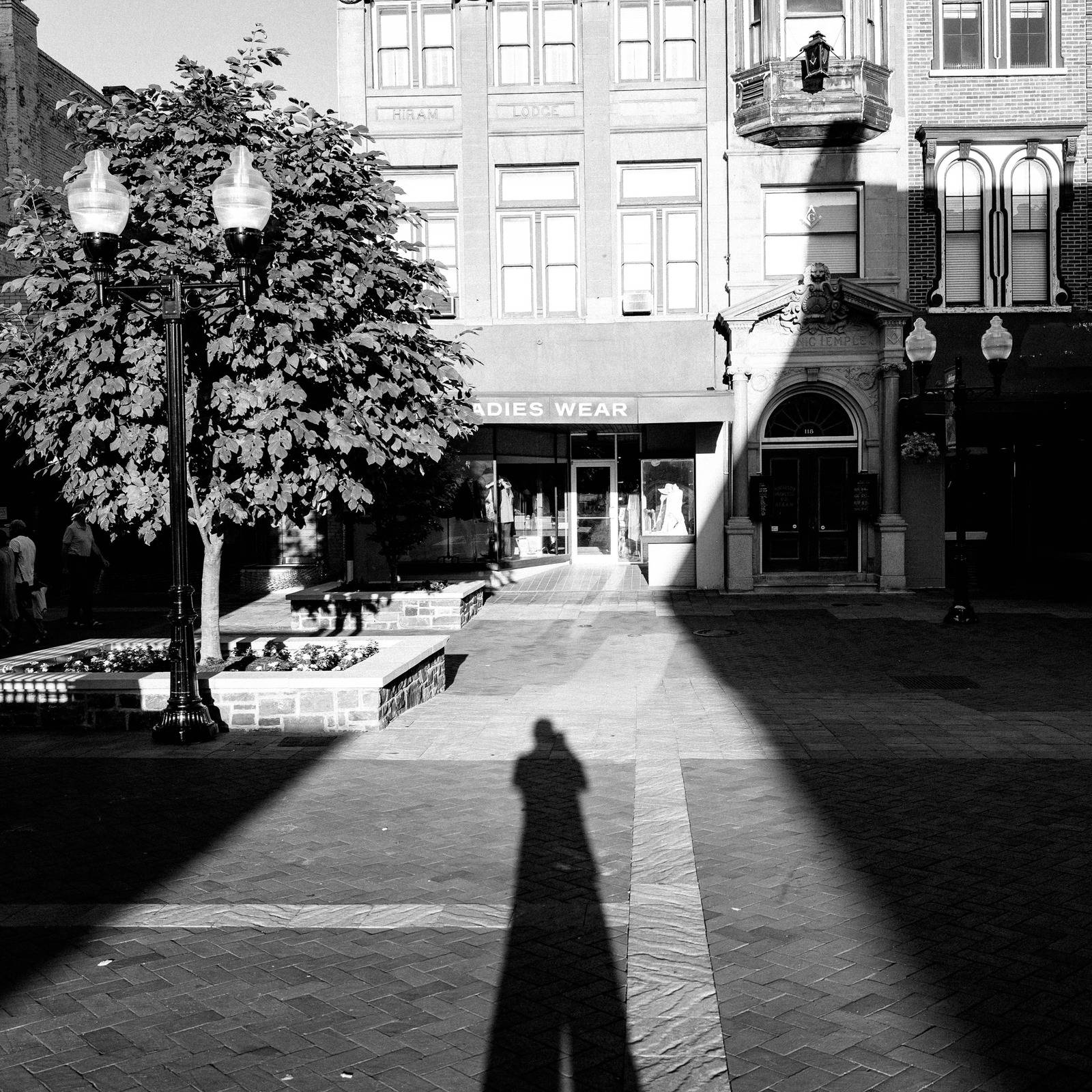 Shadows of Solitude