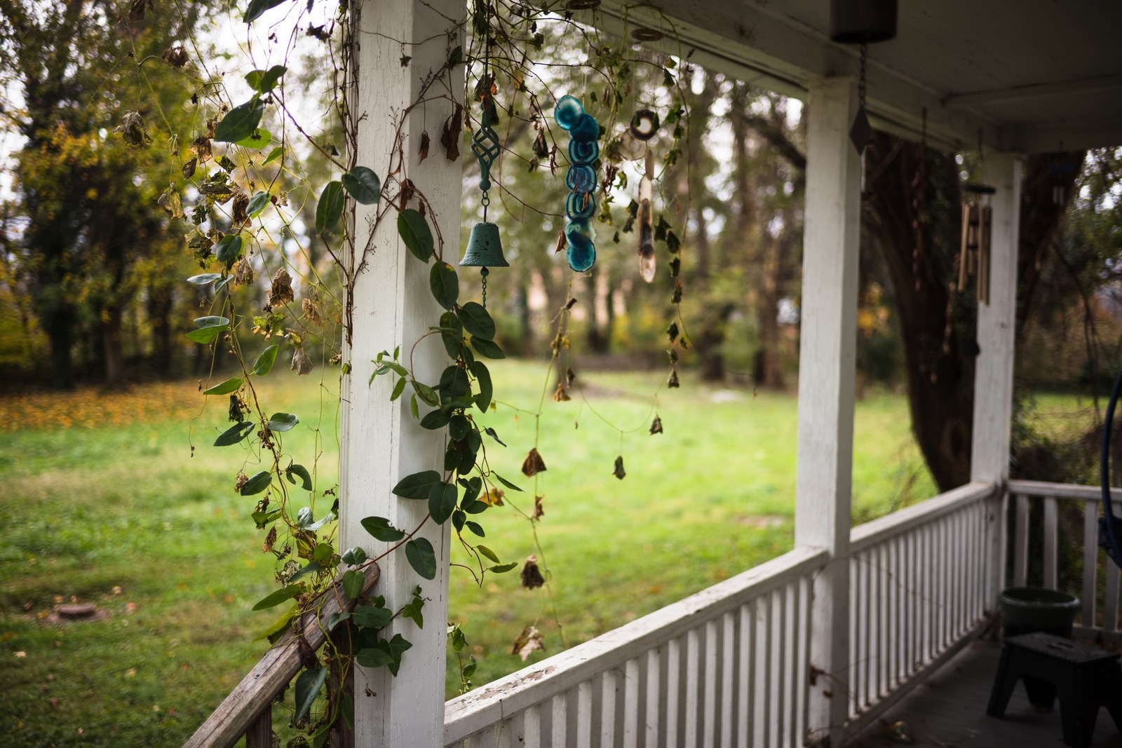 Whispers of Autumn