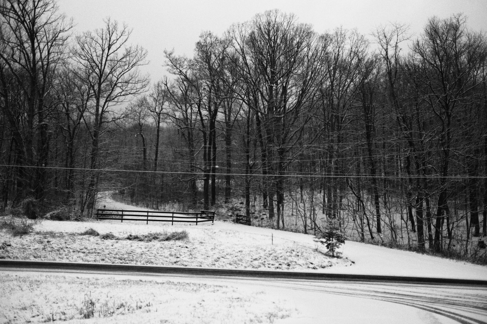 Whispers of Winter