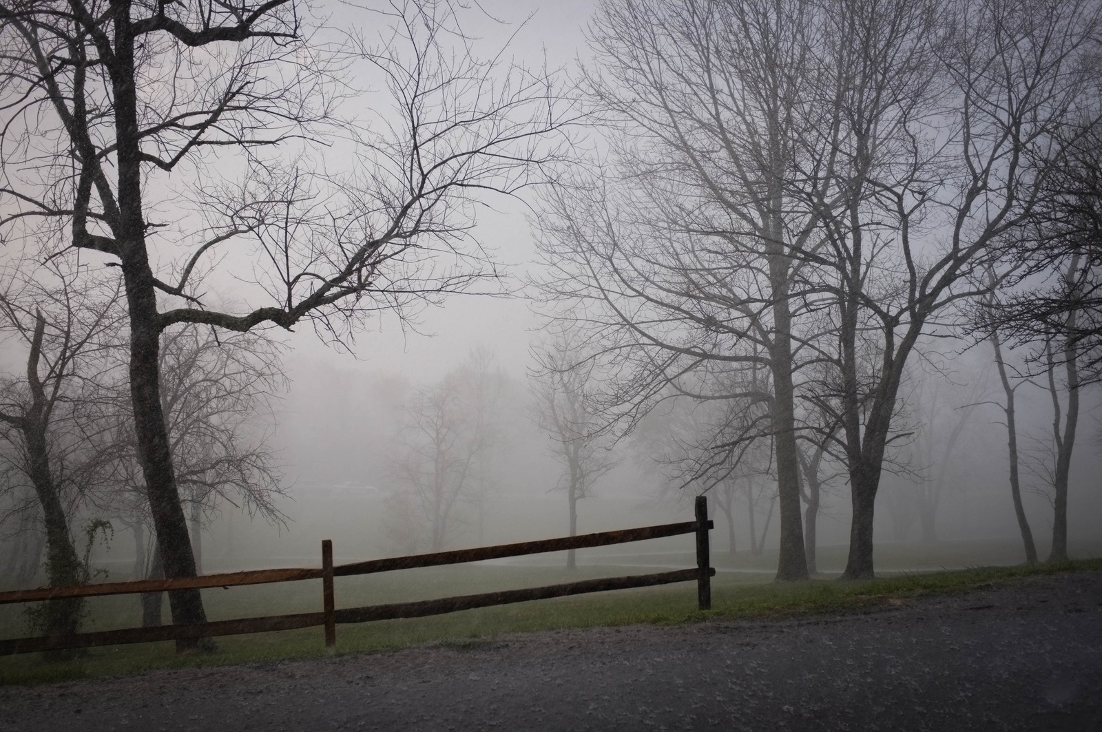 Whispers of the Fog