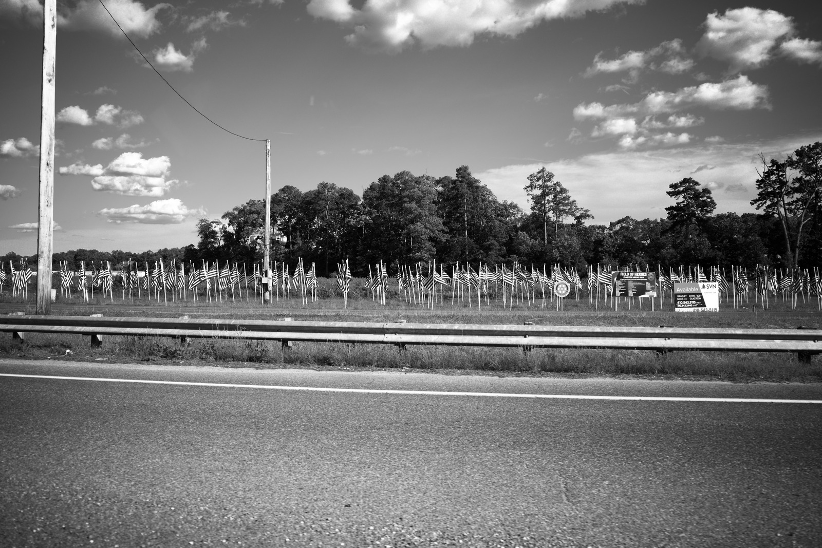 Fields of Contrasts