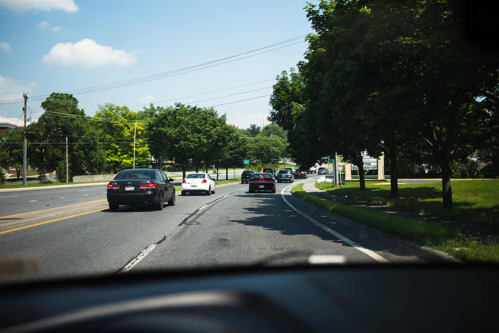 A Summer Drive