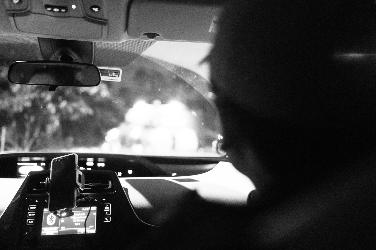 Nocturnal Journey