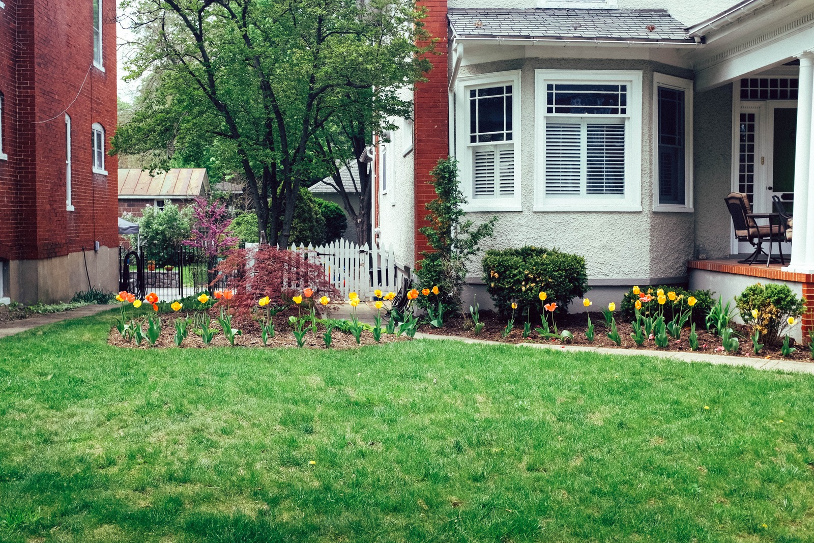 Spring Serenity